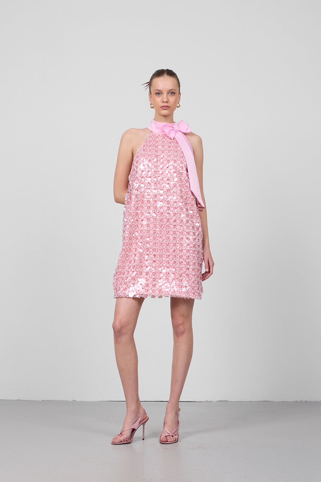ROSY DRESS